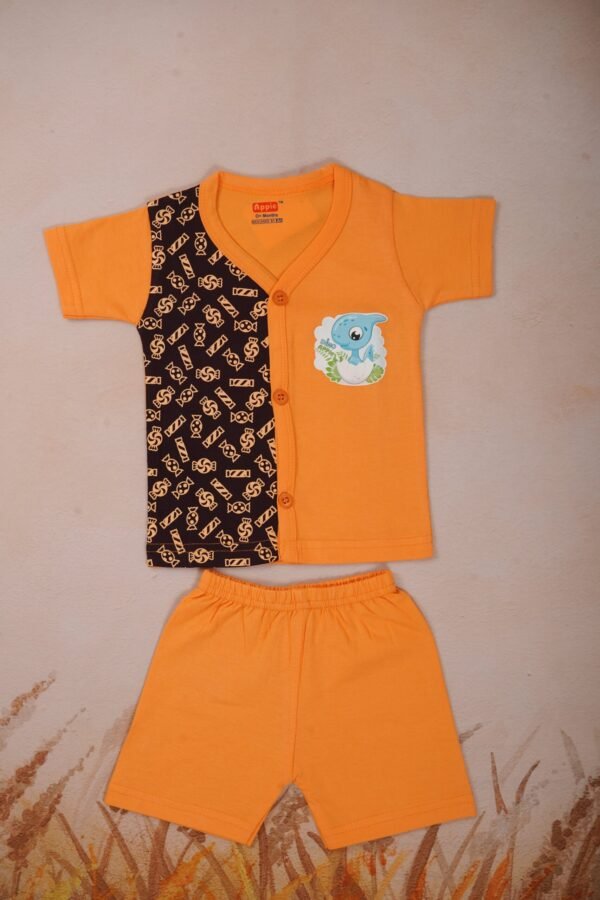 Combo Newborn Dress, Front Open With Sleeve Model